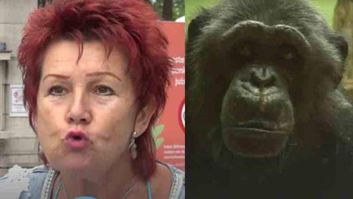 Un zoológico prohibió una extraña relación entre humana y chimpancé. ¿Hasta donde llegan los limites?