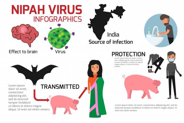 ¿Que es el virus Nipah? 