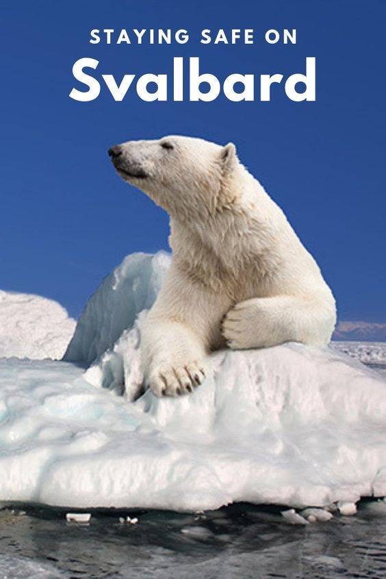 Svalbard boveda fin del mundo 3
