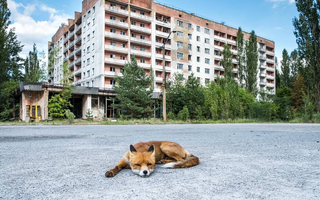 que paso en chernobyl 166