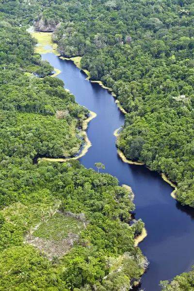 Misterios del amazonas selva y río 2021