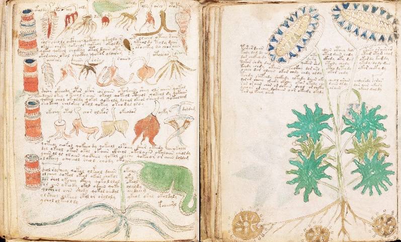  Historias de OVNIs y extraterrestres - El Manuscrito de Voynich - 2