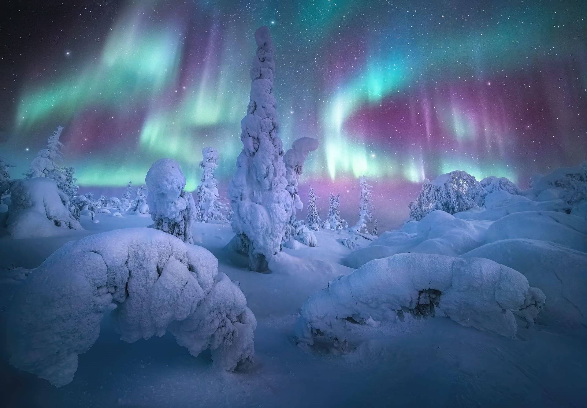 Las auroras boreales, también conocidas como luces del norte, son un fenómeno natural en el que el cielo nocturno se ilumina con un espectáculo de luces de colores. Estas luces son causadas por partículas cargadas que son expulsadas del sol y chocan con la atmósfera terrestre en las regiones polares.