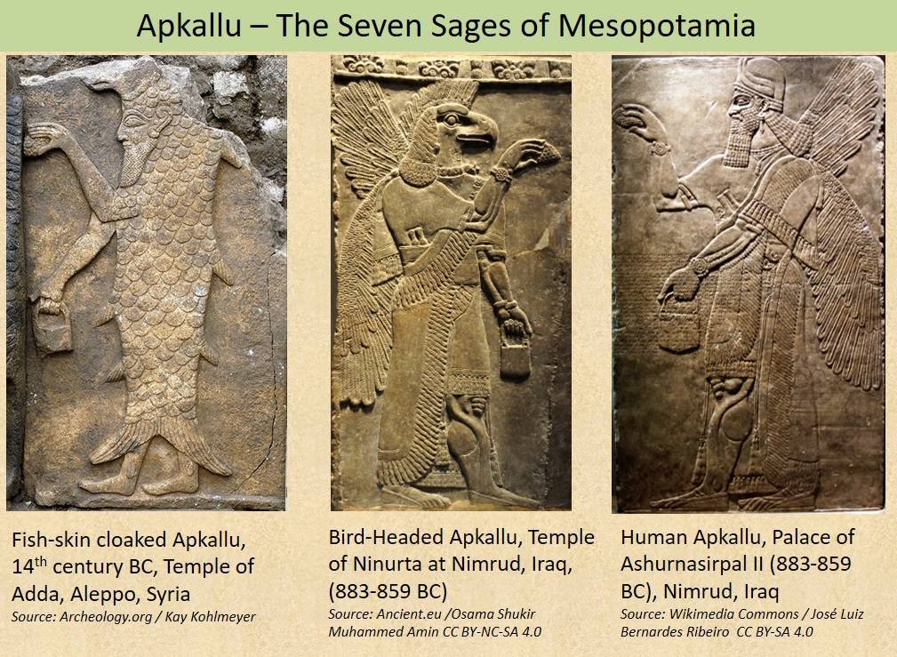Los Apkallu desempeñaron un papel importante en la cultura mesopotámica. Se creía que tenían el poder de curar enfermedades y de proteger a la humanidad de los peligros. 
