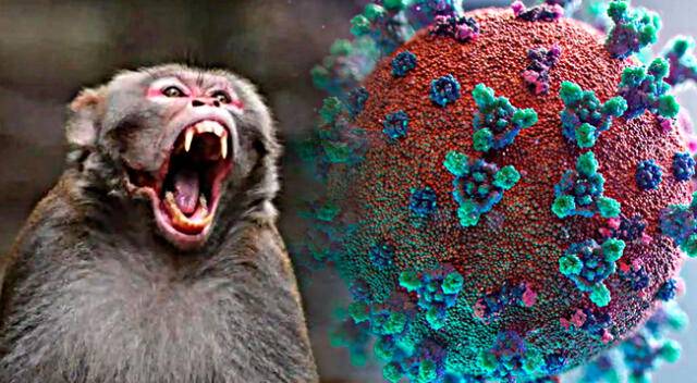 Hong Kong: B Virus IN MONKEYS and the Case of the Man in Critical Condition